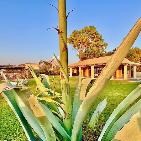 Beachfront Calypso With Private Pool By Dadovillas Villa