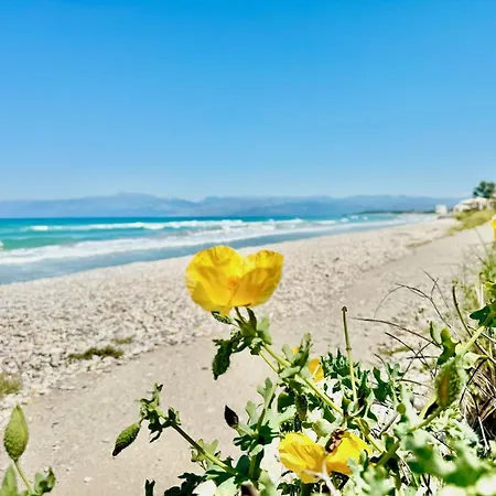 Beachfront Calypso With Private Pool By Dadovillas