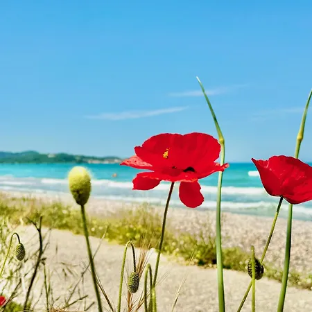 Vila Beachfront Calypso With Private Pool By Dadovillas