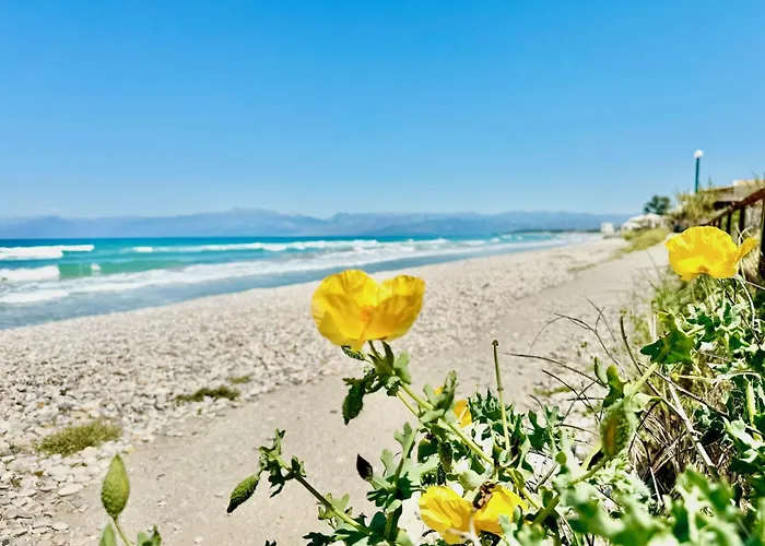Beachfront Calypso With Private Pool By Dadovillas